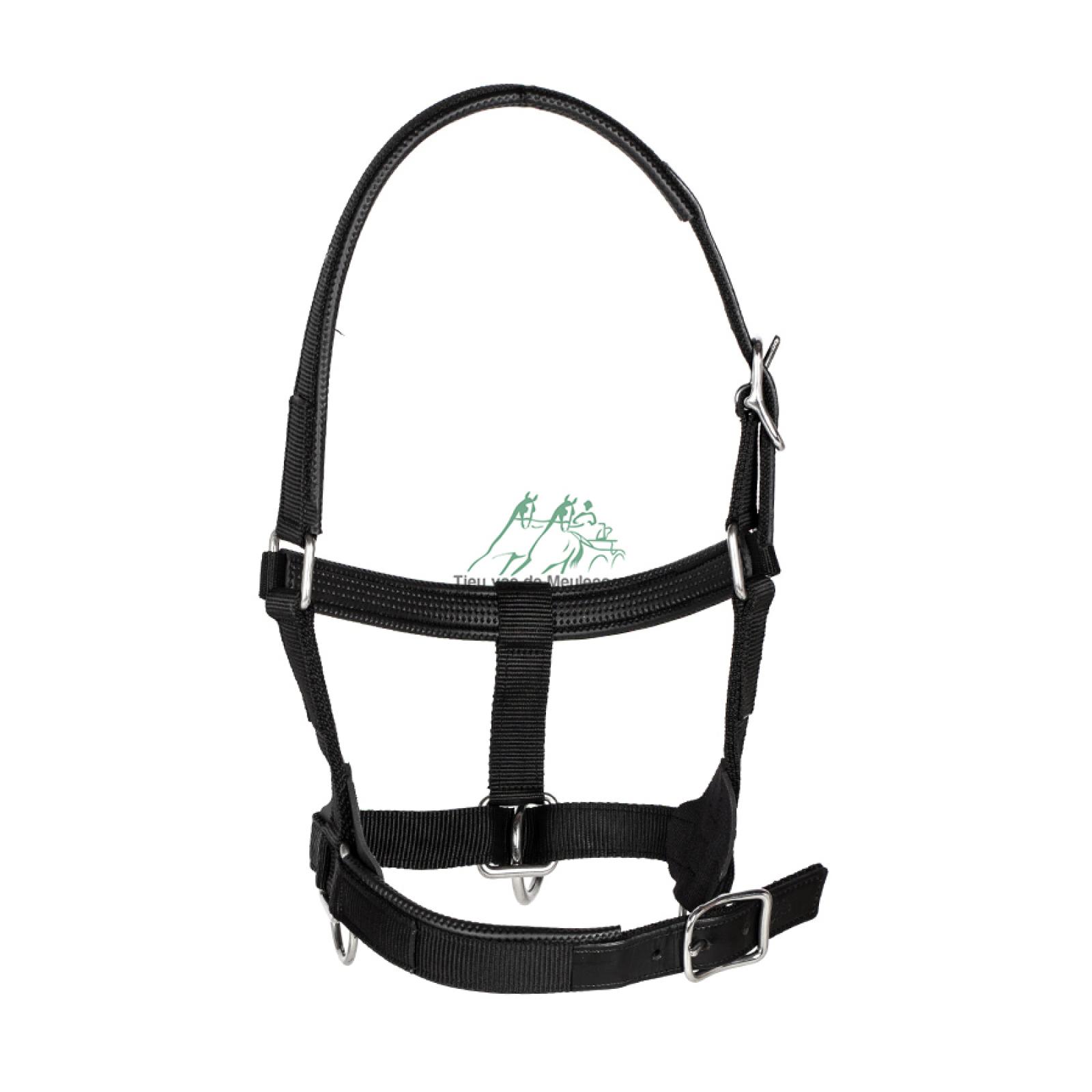 Nylon halster strong