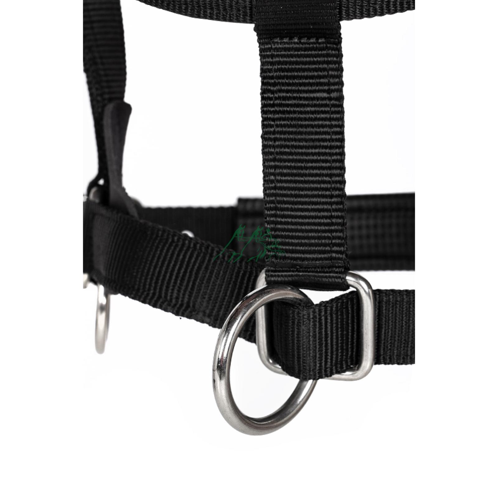 Nylon halster strong