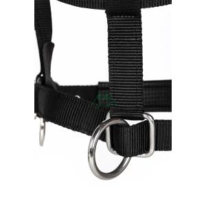 Nylon halster strong - Afbeelding 4