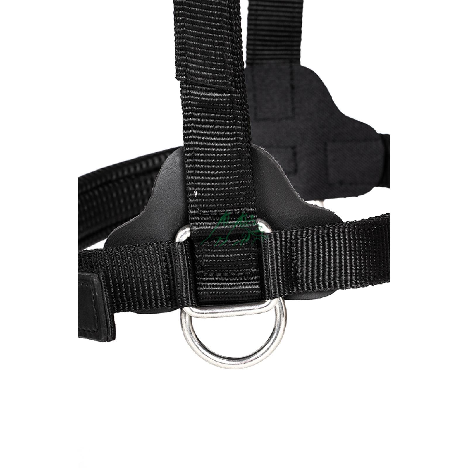 Nylon halster strong