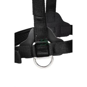 Nylon halster strong - Afbeelding 5