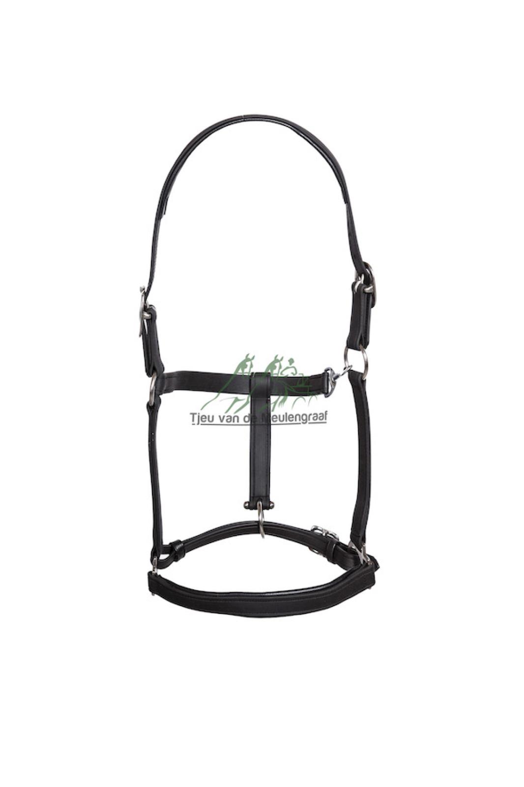 Luxe biothane stalhalster