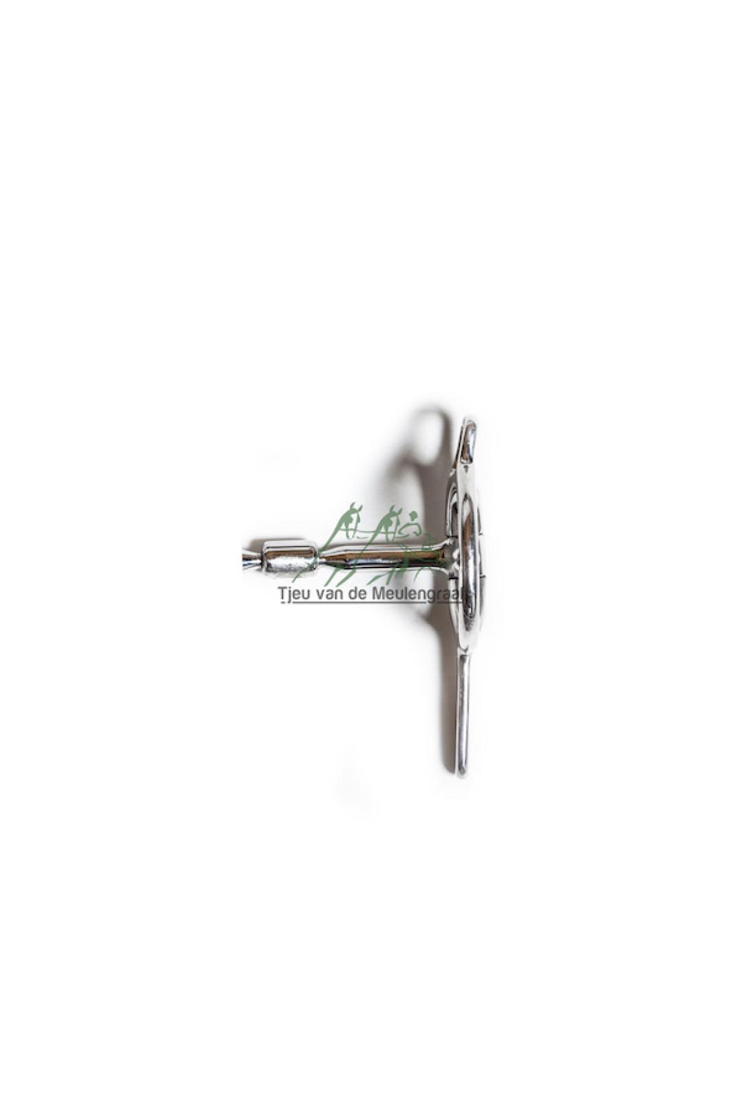 Amerikaans mini myler bit RVS