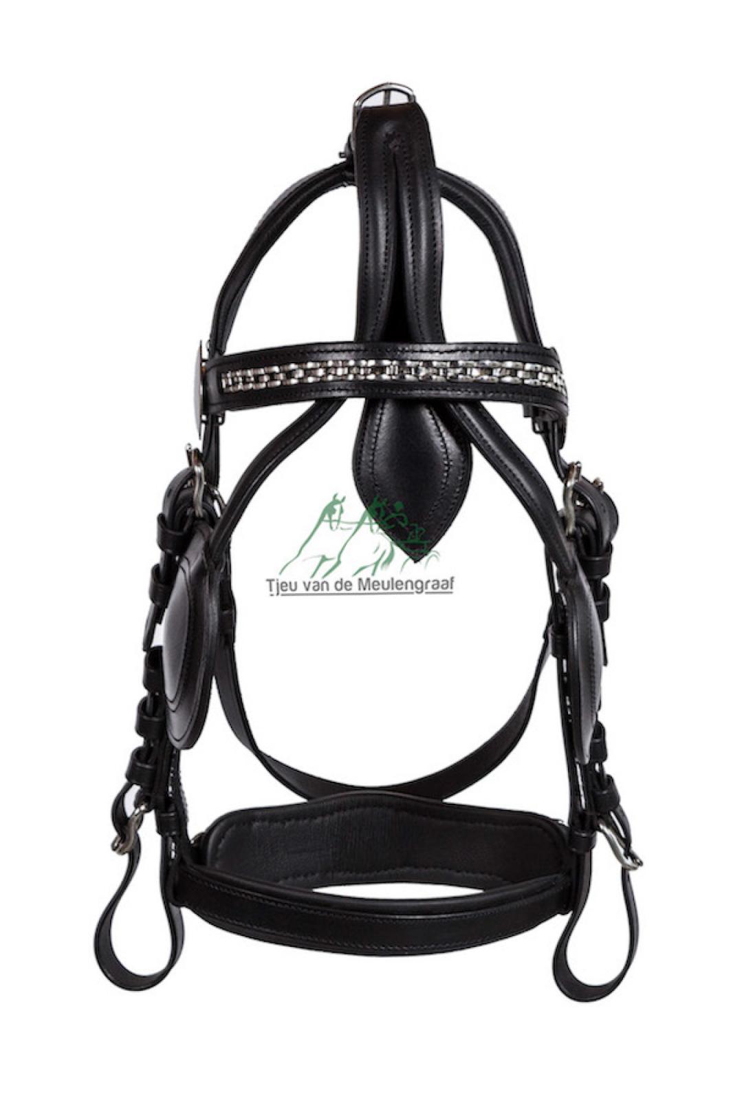 Schwarzes Lederzaumzeug mit Scheuklappen