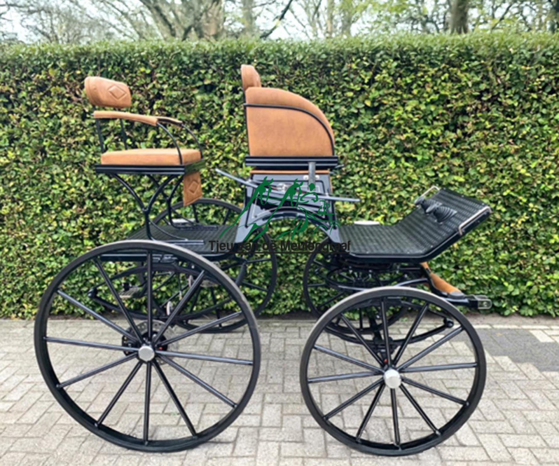 Präsentation - Dressurwagen 'Lisanne'