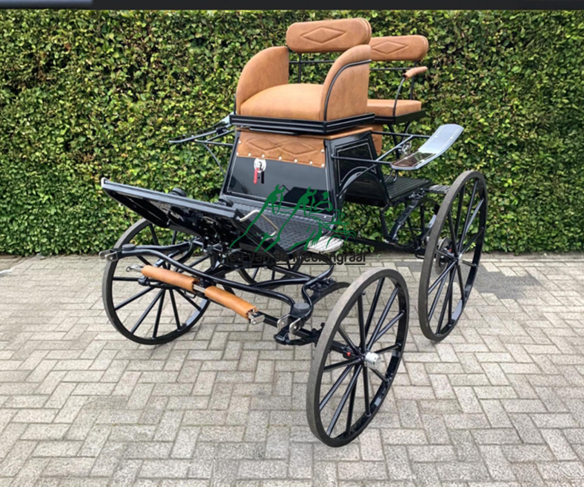 Präsentation - Dressurwagen 'Lisanne'