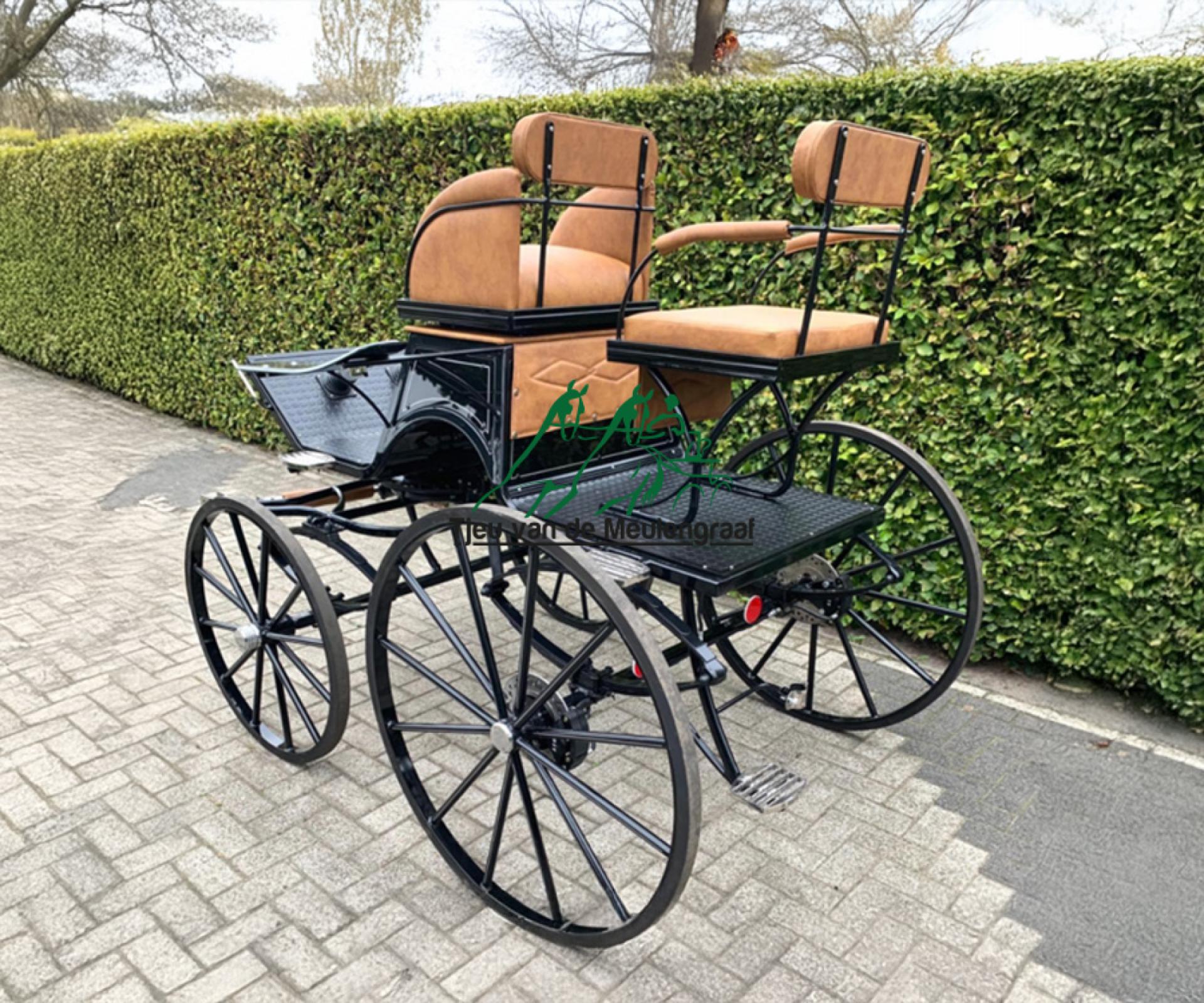 Präsentation - Dressurwagen 'Lisanne'