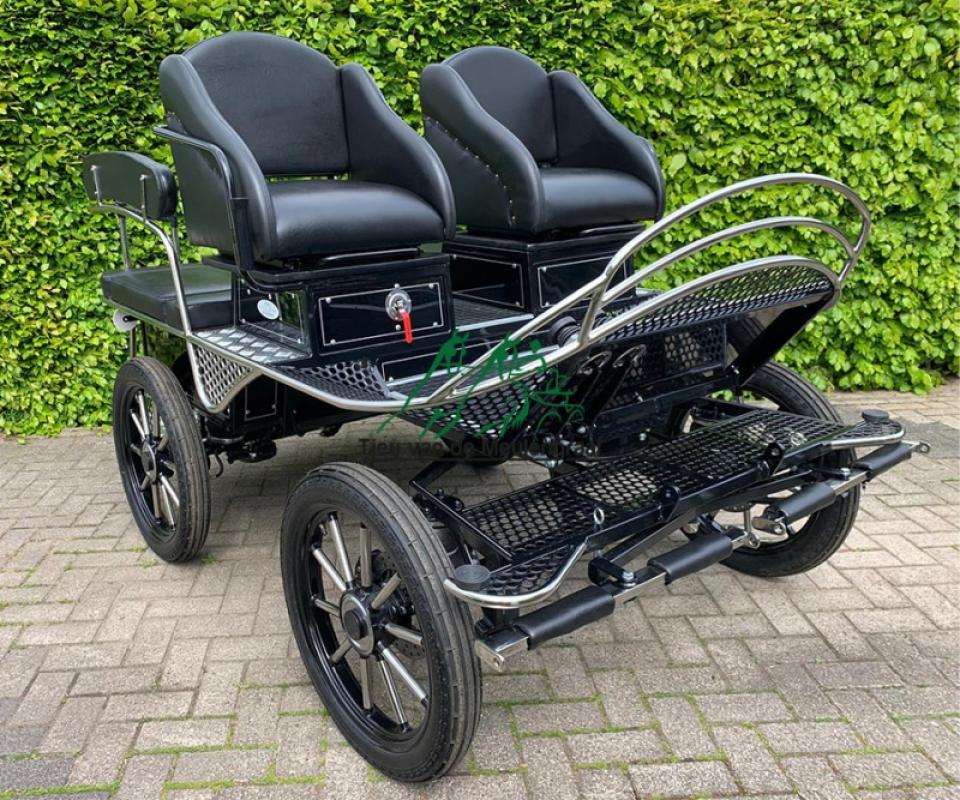 Freizeitwagen, Modell 'Easystep Pony Deluxe'