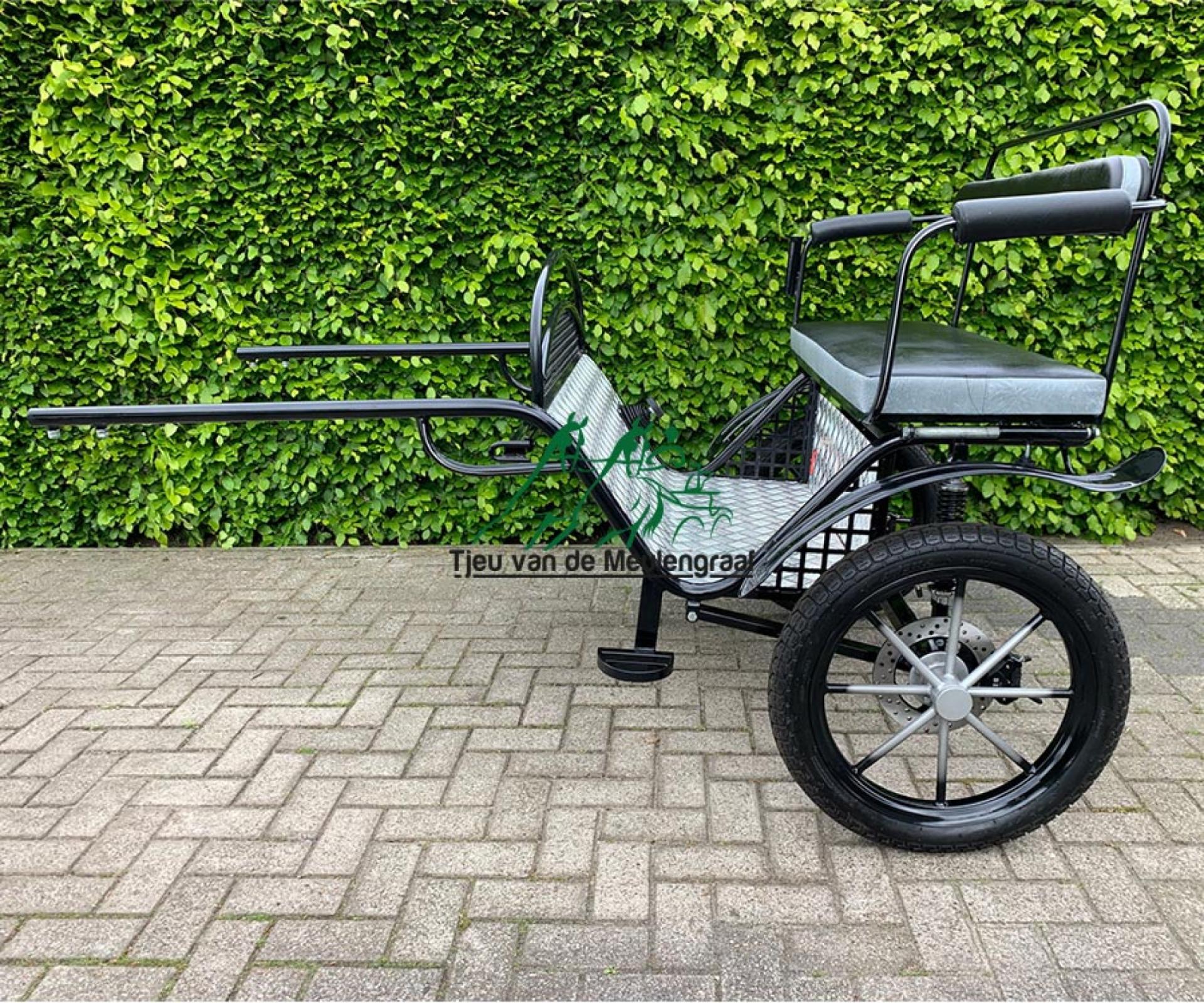 Zweirad, Modell 'Basic'