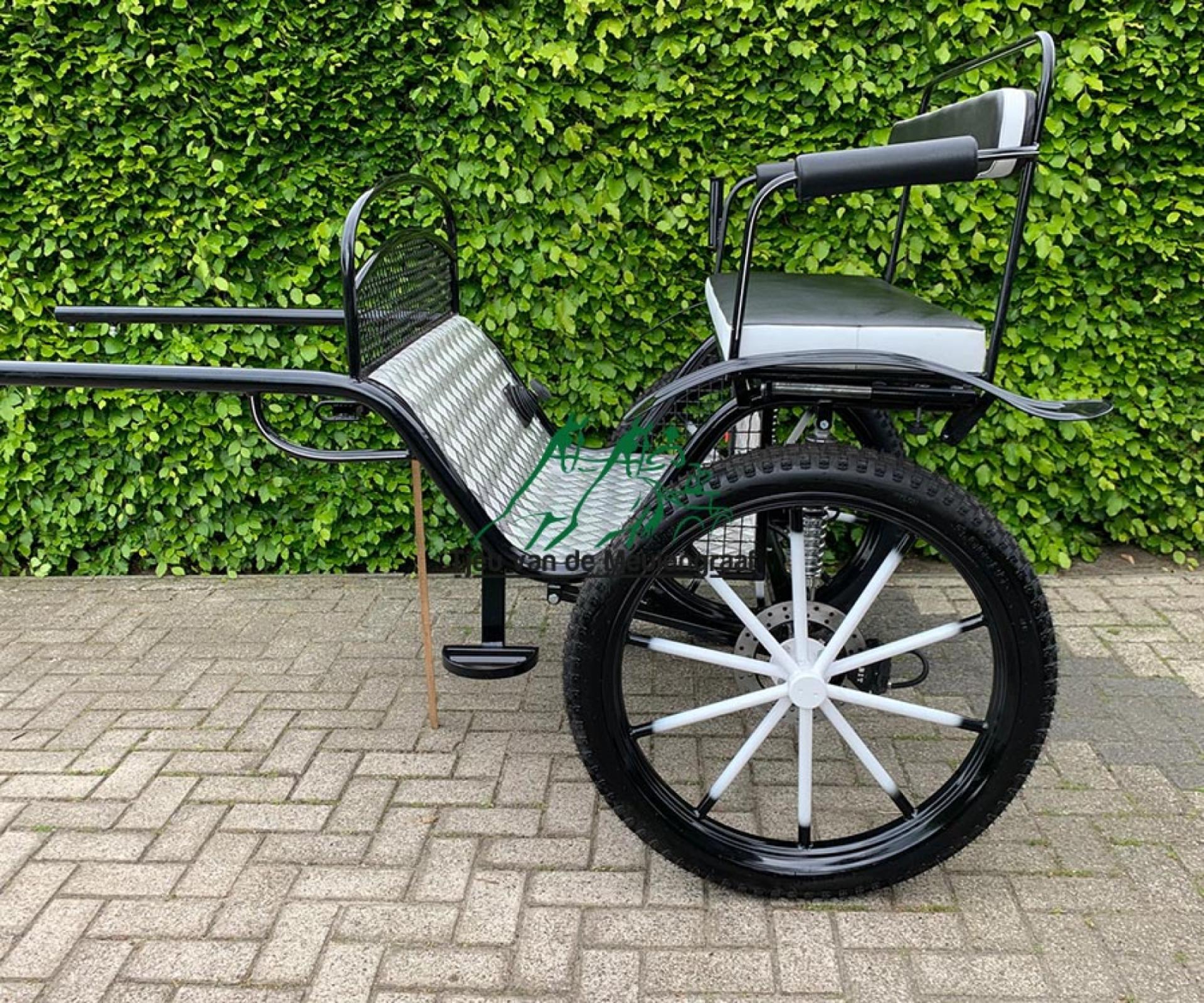 Zweirad, Modell 'Basic'