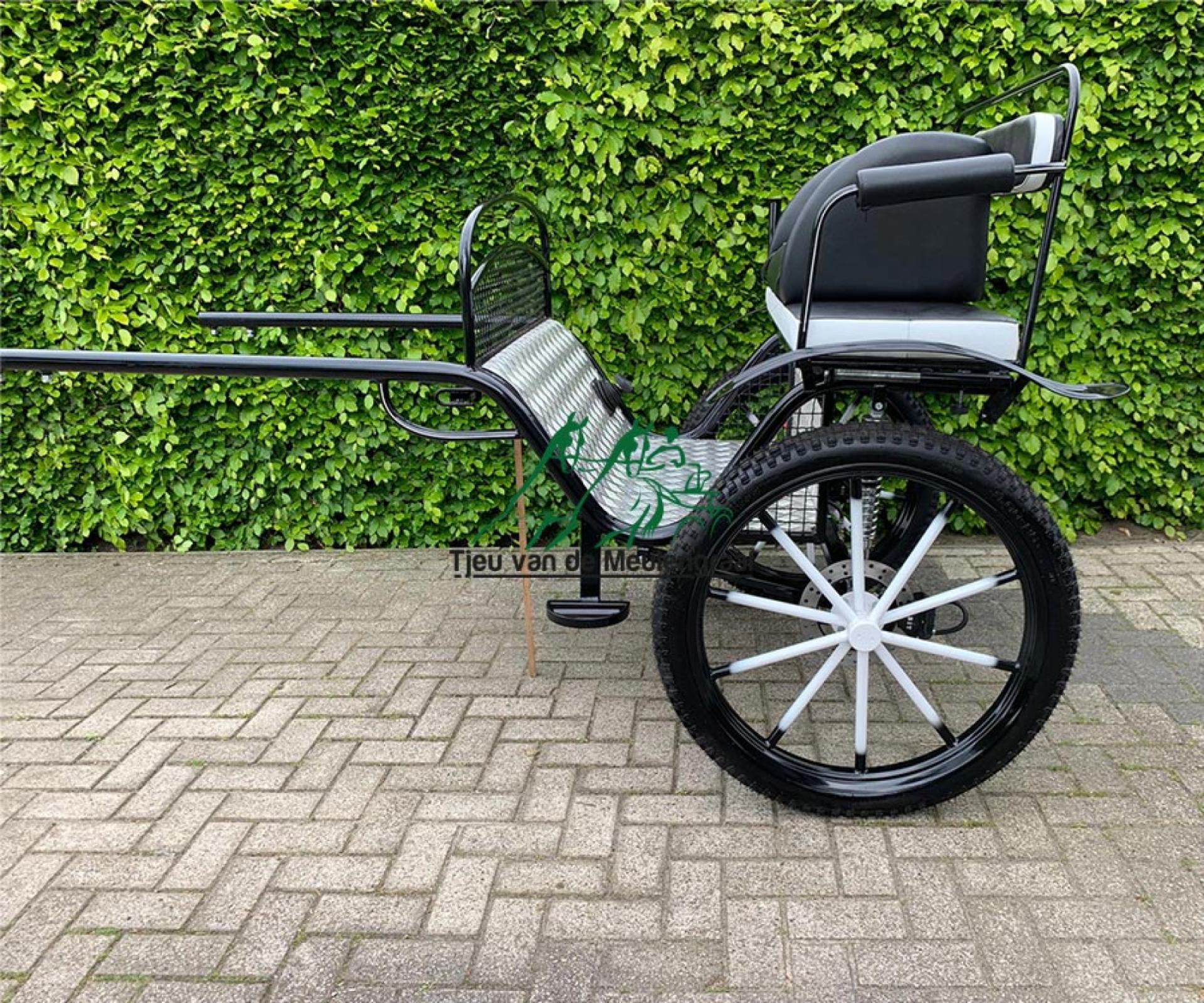 Zweirad, Modell 'Basic'