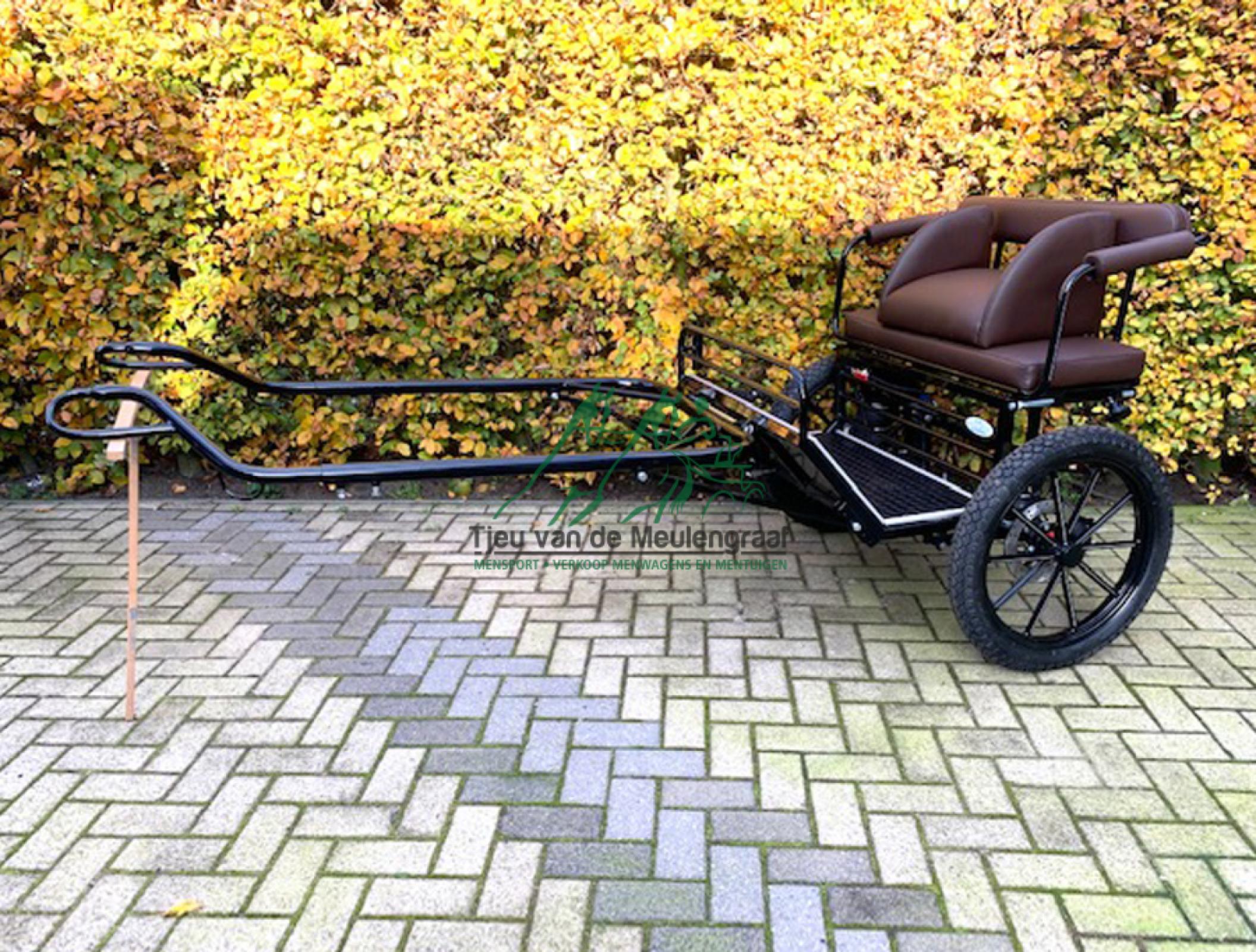 Zweirad, Modell 'Ellen'