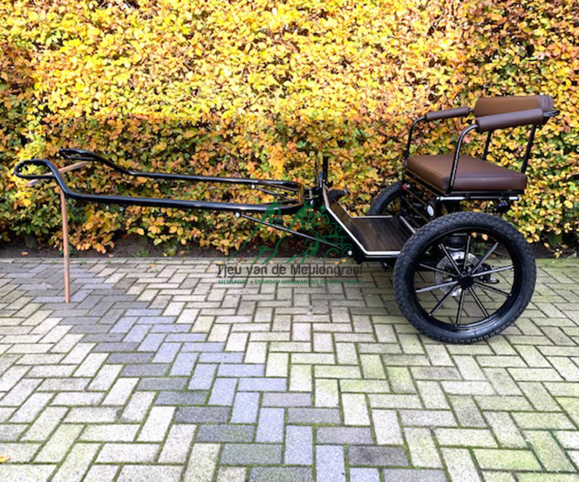 Zweirad, Modell 'Ellen'