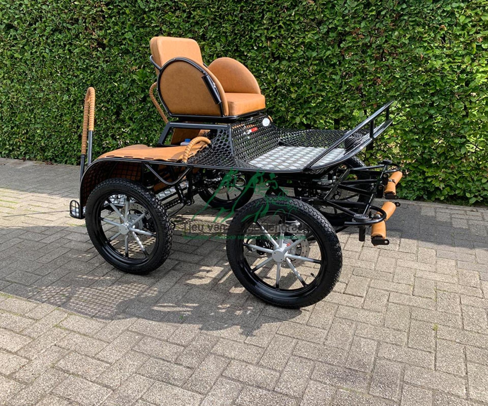 Wettkampf-Marathonwagen, Modell '16 sports'