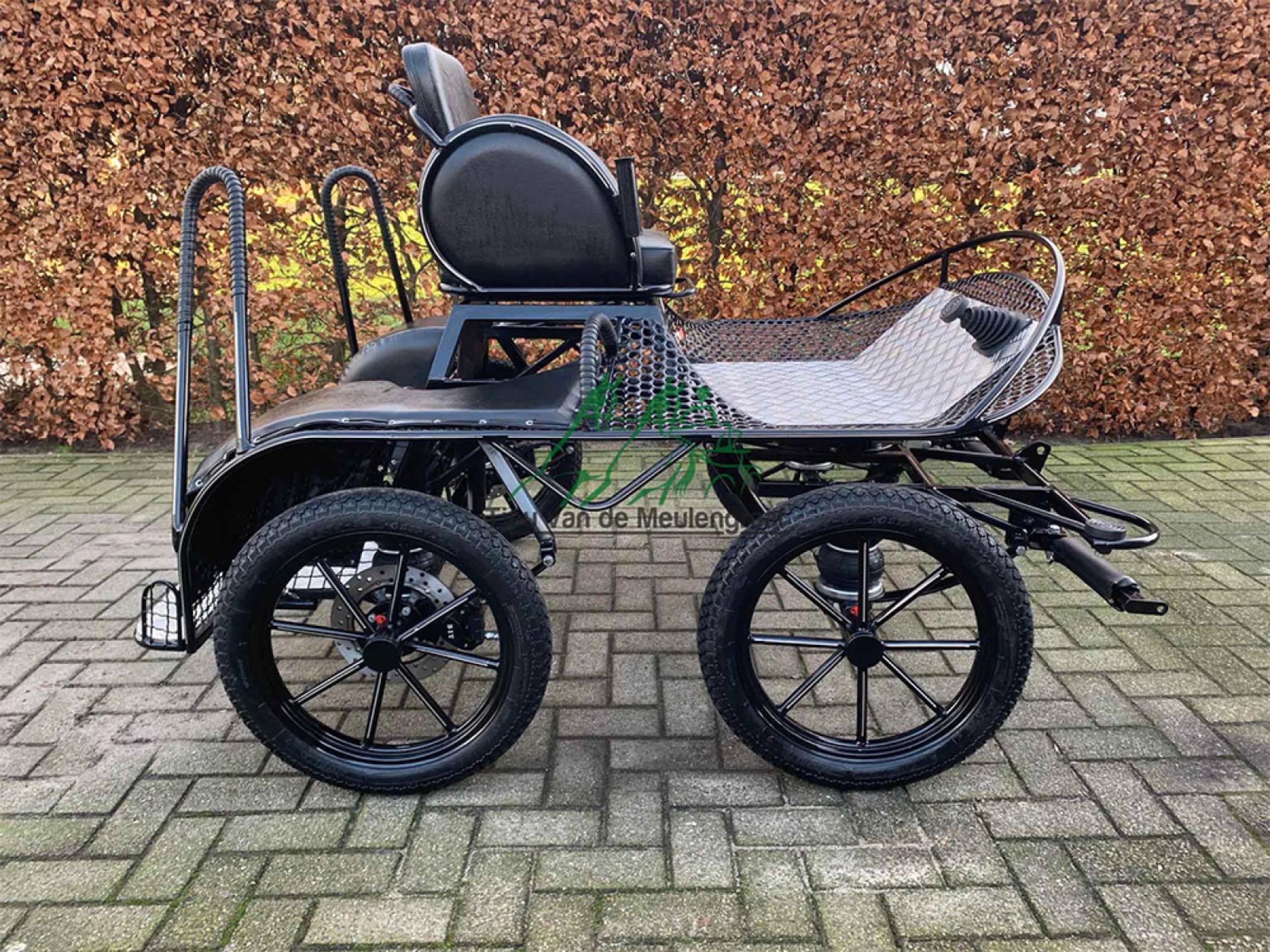 Wettkampf-Marathonwagen, Modell '16 sports'