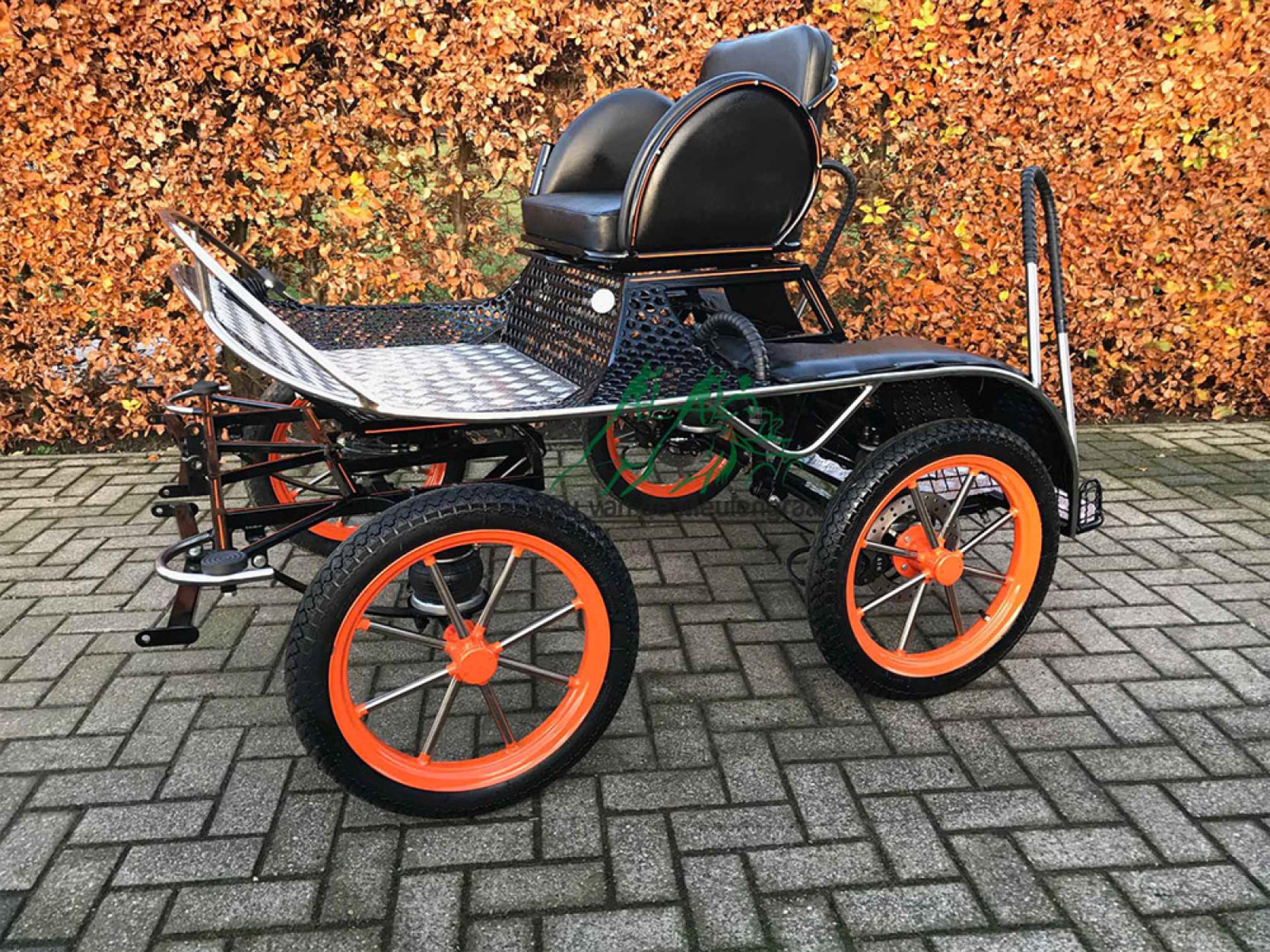 Wettkampf-Marathonwagen, Modell '16 sports'
