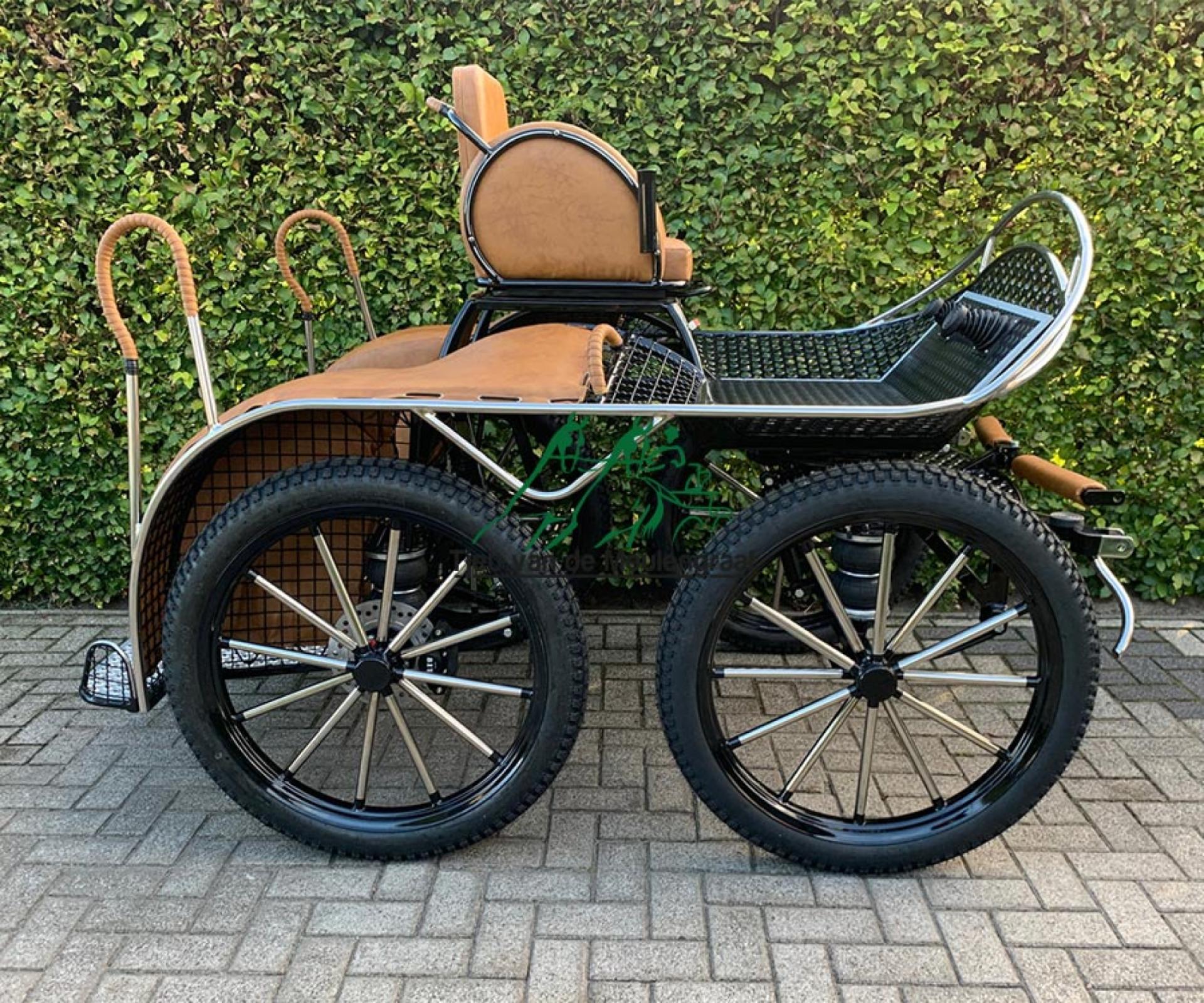 Wettkampf-Marathonwagen, Modell 'Mees'