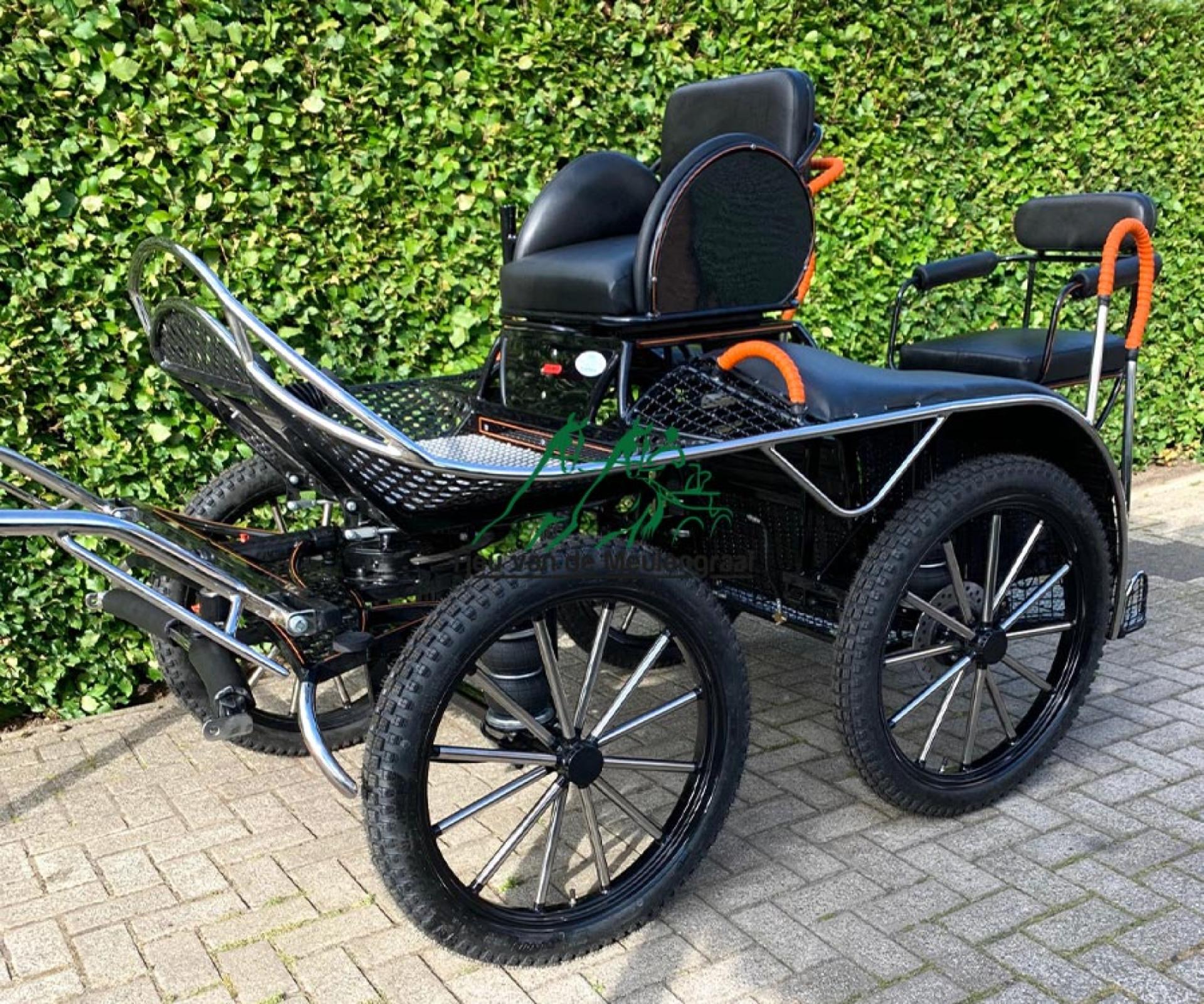 Wettkampf-Marathonwagen, Modell 'Mees'
