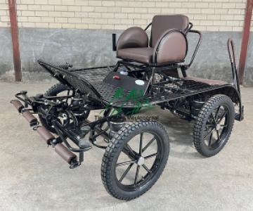 Wedstrijd marathonwagen, model 'Roan' - Afbeelding 3